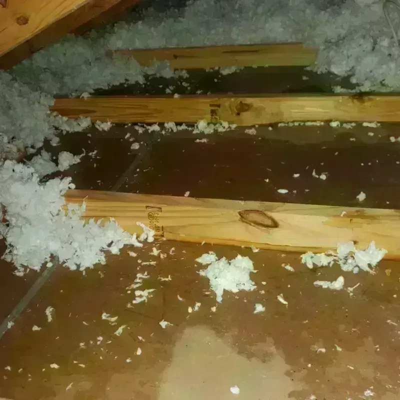 Attic Water Damage in Mineral County, CO