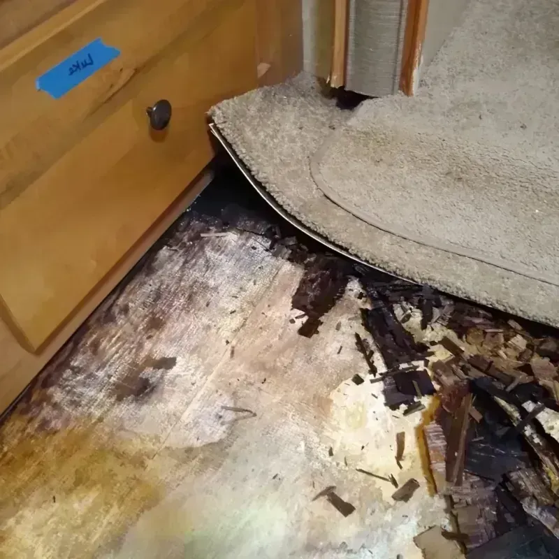 Wood Floor Water Damage in Mineral County, CO